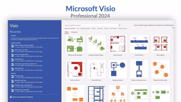 Microsoft Visio 2024 Professional
