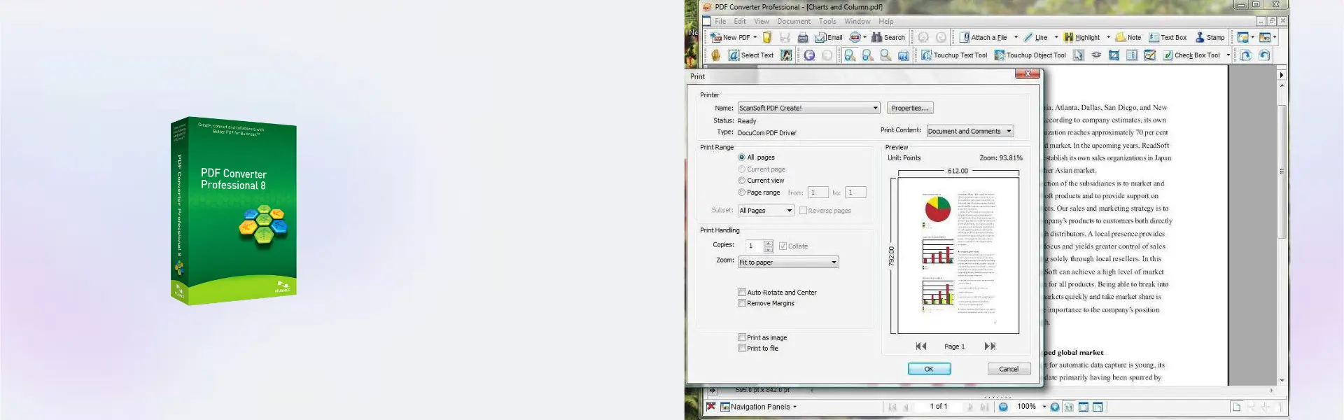 Nuance PDF Converter Professional 8