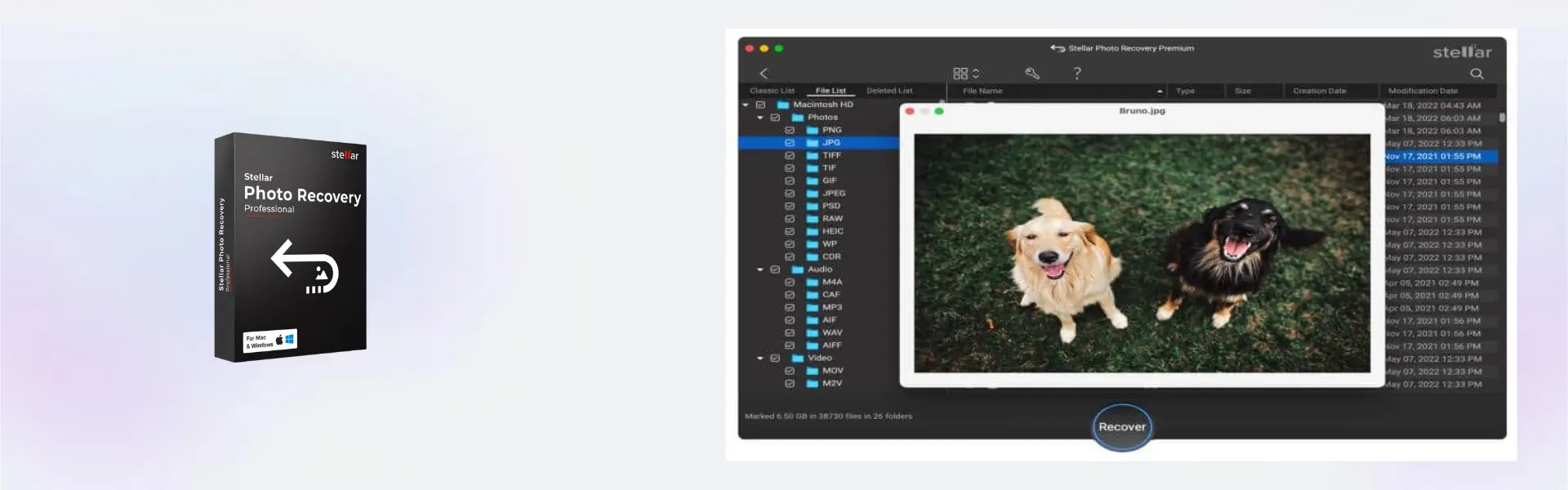 Stellar Photo Recovery Professional