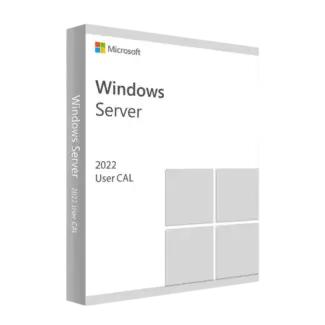 Microsoft Windows Server 2022 User CAL